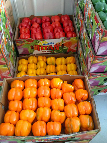 Country Market